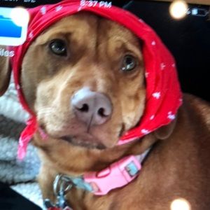 Meet your Posher, Kerith